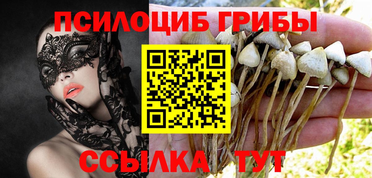 Новоалтайск  Псилоцибиновые грибы Magic Shrooms  Вход с VPN 